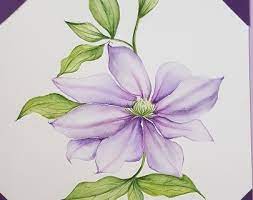 Warwick Masterclass 2019 Painting Flowers And Leaves In Watercolour I don't think anyone would disagree, even those who don't particularly like to paint flowers, that there are some stunning.