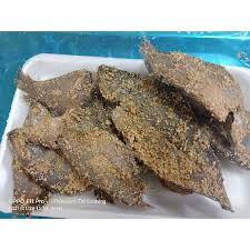 In malay and banjar cookery, pekasam usually refers to freshwater fish fermented with salt, palm sugar, toasted rice grains and pieces of asam gelugur. Buy Pekasam Ikan Sepat Titi Gantung Seetracker Malaysia