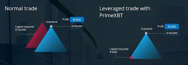 How to use the pip calculator 3 Easy Steps To Proper Risk Management For Margin Traders The Birb Nest