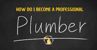 Making apprenticeships work for you apprenticeship is a combination of working and learning that mutually benefits both employers and apprentices. How To Become A Professional Plumber