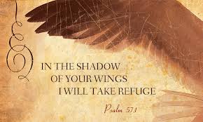 Placing All Trust Under The Shadow of Thy Wings – Daily Spiritual ...