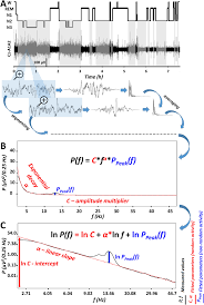 Herzlich willkommen im forum für elektro und elektronik. A Set Of Composite Non Redundant Eeg Measures Of Nrem Sleep Based On The Power Law Scaling Of The Fourier Spectrum Scientific Reports