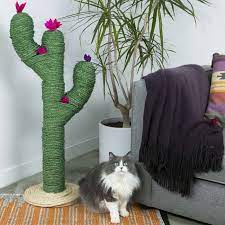 That's right, you can now build your own cactus shaped cat scratcher which will surely be a nice touch to your living space and on top of that. 5 Of The Most Stylish Diy Cat Scratchers Diy Cat Scratcher Cactus Cat Cat Diy