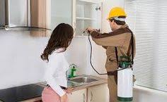 Pest control also provide commercial services to local restaurants, government establishments, schools and religious. 7 Pest Control Company Ideas Pest Control Pests Pest Control Services