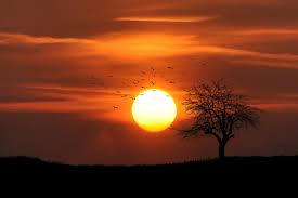Jump to navigation jump to search. What Gives A Sunset Its Color
