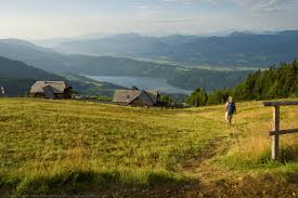 Urlaub mit hund über silvester ohne böller. Urlaub Mit Hund Am Millstatter See Das Juwel In Karnten Tierischer Urlaub Com