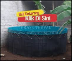 Harga Kolam Terpal Ikan Lele Dumbo Paling Terjangkau Di Kepulauan Aru Buktikan Sendiri Di 2020 Kolam Ikan Pesisir