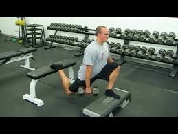 Single Arm Dumbbell Bulgarian Split Squat From Deficit Youtube