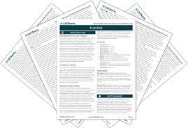 Hatchet Study Guide Literature Guide Litcharts