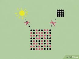 Solve for the second mass (yellow) type in 5730 and hit enter. 5 Ways To Calculate Half Life Wikihow