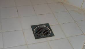 Since i was upstairs at the time, my best guess is that (1) the condensate pump turned on (the sound i heard?) and (2) something was. Standing Water In Basement Floor Drain Mt Drains Plumbing Ltd