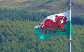 Wales.com is an online hub providing international visitors, students and business with information about wales. Wales Is Building A National Forest That Will Span The Length And Breadth Of The Country
