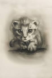 This completes the outline of the head. Sketching Baby Cat Online Lesson Demo Works Drawings Illustration Animals Birds Fish Cats Kittens Other Cats Kittens Artpal