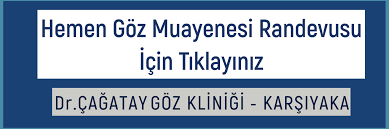 Ehliyet Goez Muayenesi Sartlari