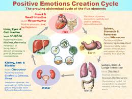 66 Unique Physical Manifestations Of Emotions Chart