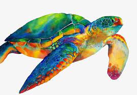 Blue Green Sea Turtle Turtle Painting Sea Turtle Art Turtle Watercolor