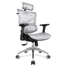 Grey Ergonomic Computer Desk Swivel Chair High Back Lumbar Support Hea Homylink
