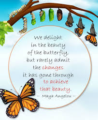 We delight in the beauty of the butterfly, but rarely admit the changes it has gone through to achieve that beauty. The Wisdom Post Sur Twitter We Delight In The Beauty Of The Butterfly But Rarely Admit The Changes It Has Gone Through To Achieve That Beauty Maya Angelou 734x896 Rt