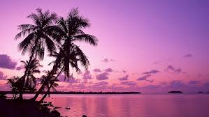 Check spelling or type a new query. Hd Wallpaper Pc Nature Hd Pictures 1920x1080 Wallpaper Flare