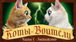 koty voiteli 1 seriya stan dikim istoriya kota ryzhika kot malysh i koshka murka warrior cats na russkom kanal anuka davajka r warrior cats cat kids baby cats