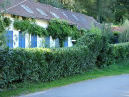 We did not find results for: Laurier Cerise Plantation Entretien Multiplication