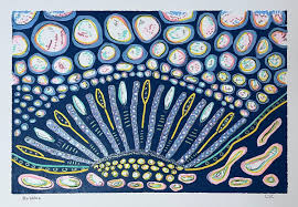 Connie Cofer — American Color Print Society