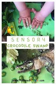 Check out our range of fun crocodile facts for kids. Sensory Crocodile Swamp Small World Toddler Sensory Bins Toddler Activities Montessori Toddler Activities