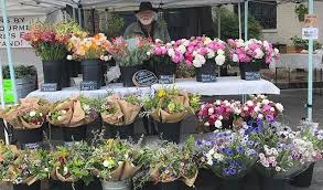 Each delivery comes with news from our family farm, delicious recipes, quick tips and the option to customize your box online — we bring our farmers market booth to you! Where To Buy Wollam Gardens