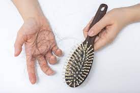 So, these are some tips and remedies for your beauties to control the hair fall at home. Hair Care Tips For Controlling Hair Fall Health News And Updated Healthwire