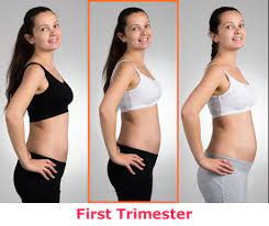 They still look a lot like an alien, but some human features are starting to develop: Month Two Of Your Pregnancy Familyeducation