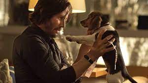 Perkins, eine ehemalige komplizin und ebenso profikillerin. Was Fur Ein Hund Ist Das Bei John Wick Film Tv