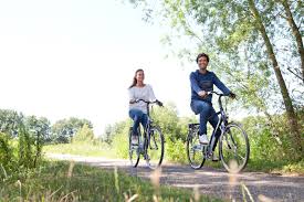 Gazelle Trekking Radfahren