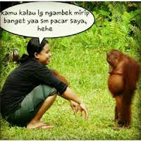 Check spelling or type a new query. Paling Keren 16 Gambar Lucu Gokil Terbaru 2019 Richa Gambar