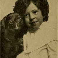 Animal castration, a book for the use of students and practitioners; (1914)  (14740863976)