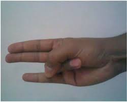 8 Yoga Mudras To Overcome Any Ailments Mudras Yoga Hands Cholesterol