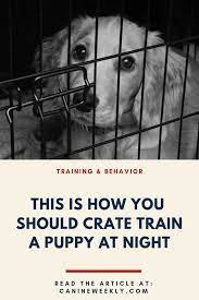 How To Train A Puppy Not To Cry In The Crate At Night Canine Weekly Training Your Puppy Dog Training Obedience Training Your Dog