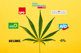 Zukünftig jedoch soll cannabis als medizin in deutschland selbst angebaut werden. Superwahljahr 2021 So Stehen Die Neuen Spitzenkandidaten Zu Cannabis