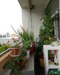 How To Make Small Kitchen Garden Ideas Small Balcony Garden Patio Garden Design Apartment Patio Gardens