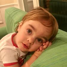 Cure Sanfilippo Foundation