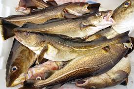 Si può partire dal pesce intero oppure, molto più praticamente, consumare i filetti, freschi o congelati. Pulire Il Merluzzo E Sfilettarlo Senza Fatica Cucinare It