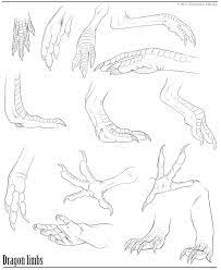 Sharing Some Studies I Did Of Bird X2f Dinosaur X2f Lizard Limbs Hope You Find It Useful Creature Concept Art Animal Drawings Anatomy Drawing