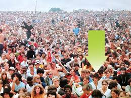 Bildergebnis für Shelly Rusten