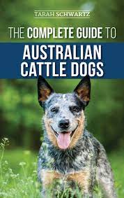 It develops small motility of hands. The Complete Guide To Australian Cattle Dogs Finding Training Feeding Exercising And Keeping Your Acd Active Stimulated And Happy Schwartz Tarah Amazon De Bucher