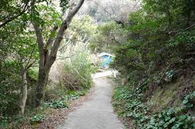 沼島 おのころ山 兵庫県の山