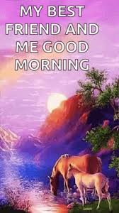 We did not find results for: My Best Friend And Me Good Morning Horses Gif My Best Friend And Me Good Morning Horses Discover Share Gifs