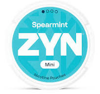 Nicotine Pouches - Buy Premium Tobacco-Free Options Online