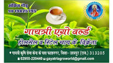 Gayatri Agro World in Fatehnagar,Udaipur-rajasthan - Best in ...