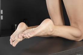 Crystal Lizard Studio-24 photos-a glimpse into their world!