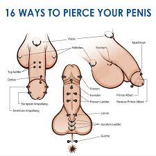 Penis Piercing Types That You Must Know - Body Art Guru