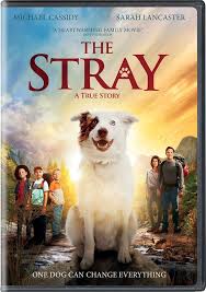 Make long car trips more bearable for kiddos by bringing along. The Stray Dog Movies Family Movies Strayed Movie